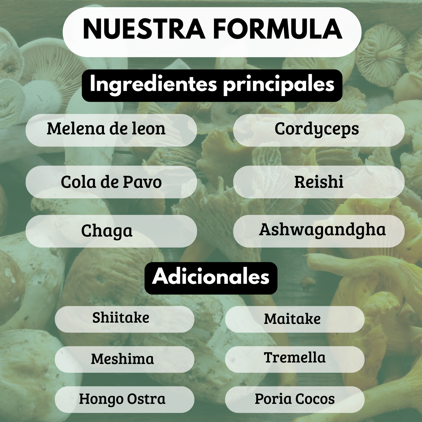 NeuroRegen