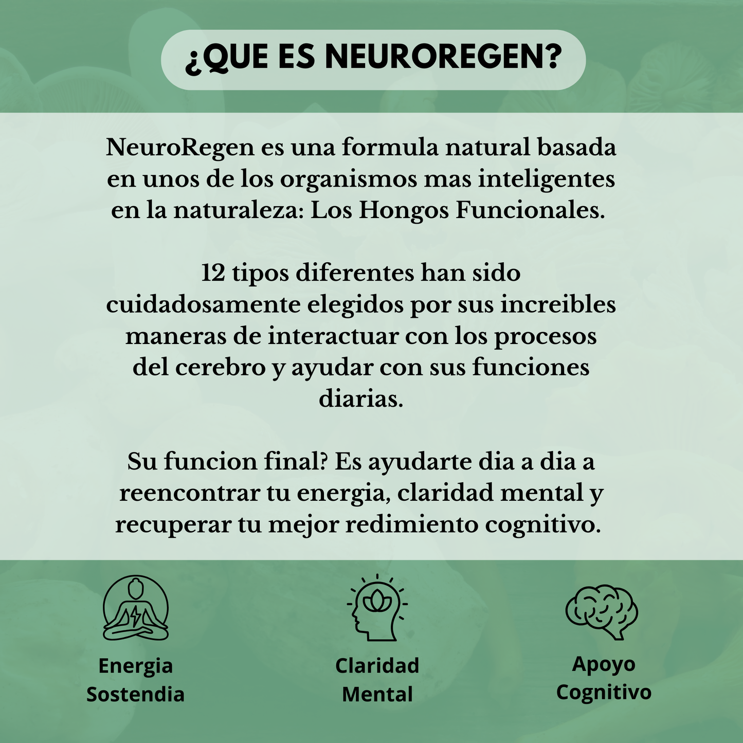 NeuroRegen